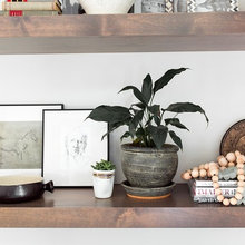 Shelves