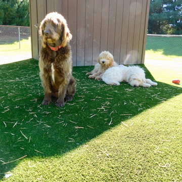 Gregory Residence Dual K9Grass and GolfGreens Installation