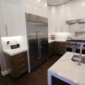 Contemporary Kitchen Remodel