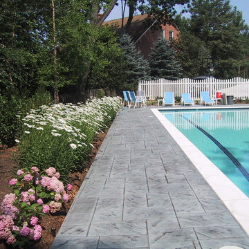Pool in Sun