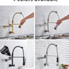 Wall Mounted Swivel Side Sprayer Dual Spout Kitchen Tap, Brushed Nickel