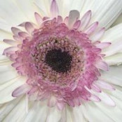 Dawn Hyde's photo