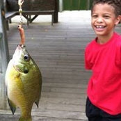 Roxanne Powell's photo