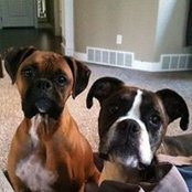 Dan Traugott's photo