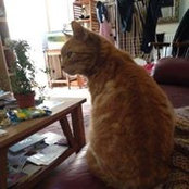 Loretta Evans's photo
