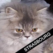 Jeanine Klein's photo