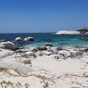Ieva Cepaite's photo