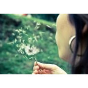 Talita Bolelli's photo