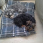 Laura Duran's photo