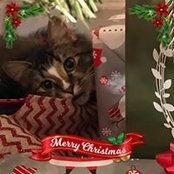Mandy Robinson Herrnkind's photo