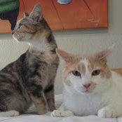 Lori McCarthy's photo