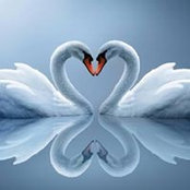 Lopes Manuela's photo