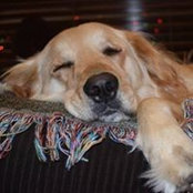 Leslie Herdt's photo