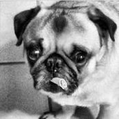 Klara Sussman's photo