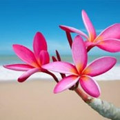 Kathy Rust's photo