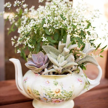 Dish Gardening Ideas