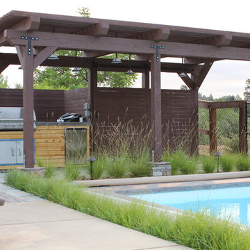 California Native Oasis