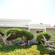 Pergola ideas