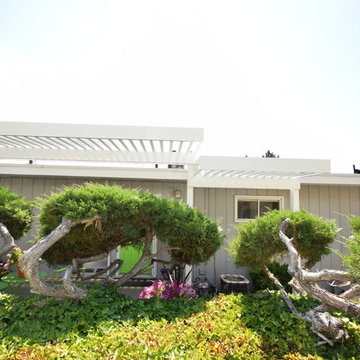 Pergola ideas