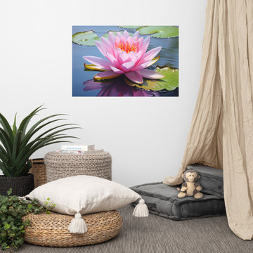 Lily Pad Dreams Illustration Digital Art Loose Print