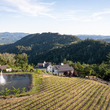 Mountain Side Vineyard