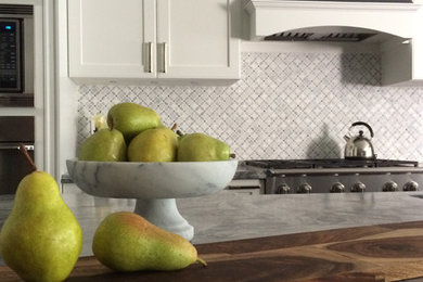 Kitchen - transitional kitchen idea in Toronto