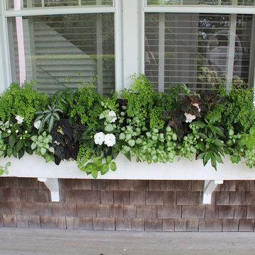 Window Boxes / Containers