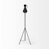 Eris III Black & Brass Metal Cone Shade Floor Lamp