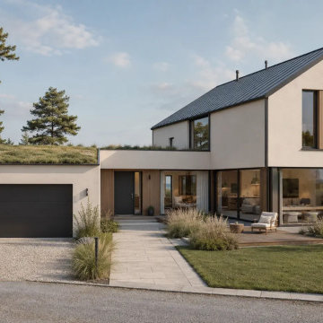 Forest House Residential Visualization
