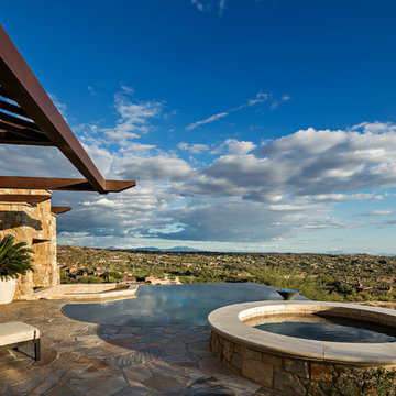 Saguaro Forest Contemporary