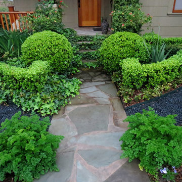 Zero Lawn Xeriscape