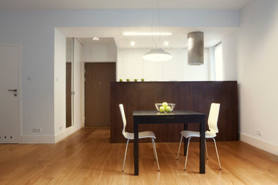 Living room - modern living room idea in New York