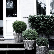 Four Winds Front Door