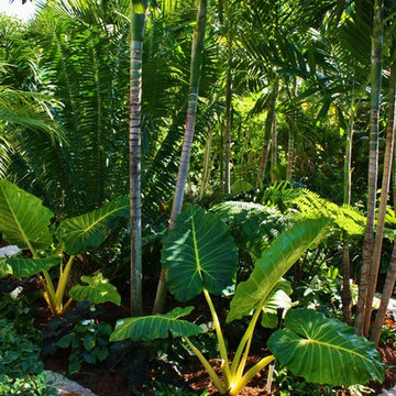 Private Residence -- Jupiter Island