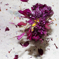 Boiling Crash Flower series - Photographs