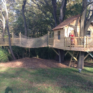 Delaware Country, two platform Treehouse