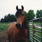 Wendy Forester-Bowman's photo