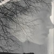 Paula Gibson's photo