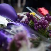 Foto von Barb Wilson