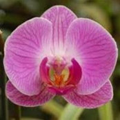 Sharon Kenworth's photo