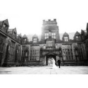 Marlene Soto's photo