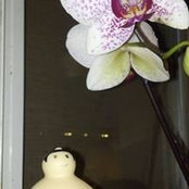 Lisa Vidaure's photo