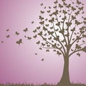 Marijana Bakovic's photo