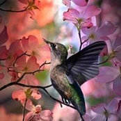 Cindy Gutierrez's photo