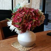 Catherine Bunel's photo