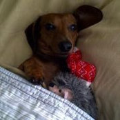 Sharon Detwiler's photo