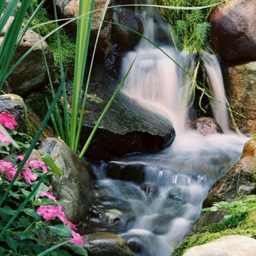 Ponds & Waterfalls