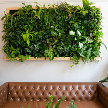 Living Walls