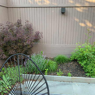Borough Park Brooklyn Backyard makeover