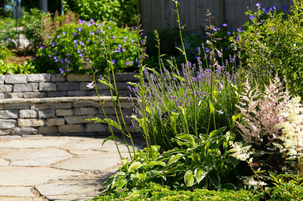 How to Transition Your Spring Garden Borders Into Summer